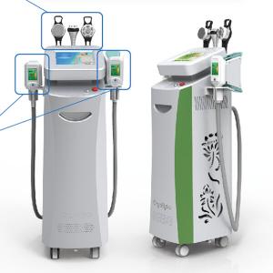 Buy cheap Coolsculpting fat freezing Machine Belly or waist Abdomen Whole Body Fat Removal from wholesalers
