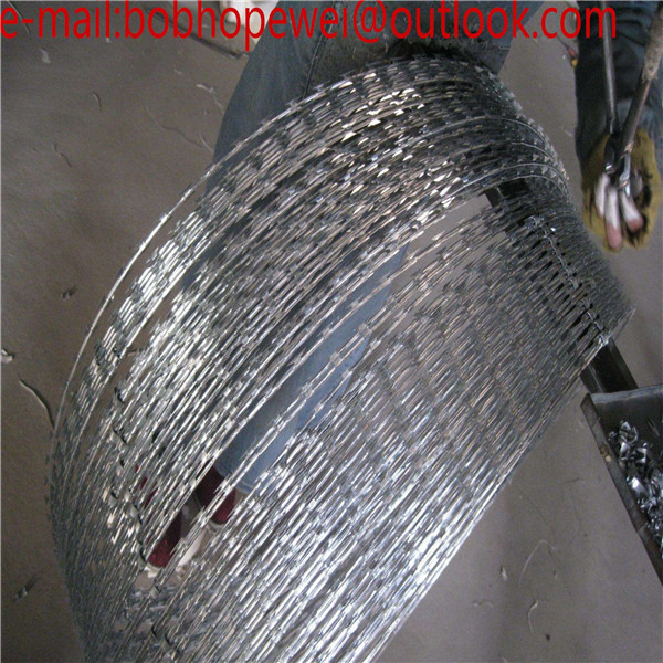 Buy cheap galvanized razor barbed wire Concertina wire coil/Hot Dipped Galvanized Razor Wire/Electric Galvanized Concertina Razor product