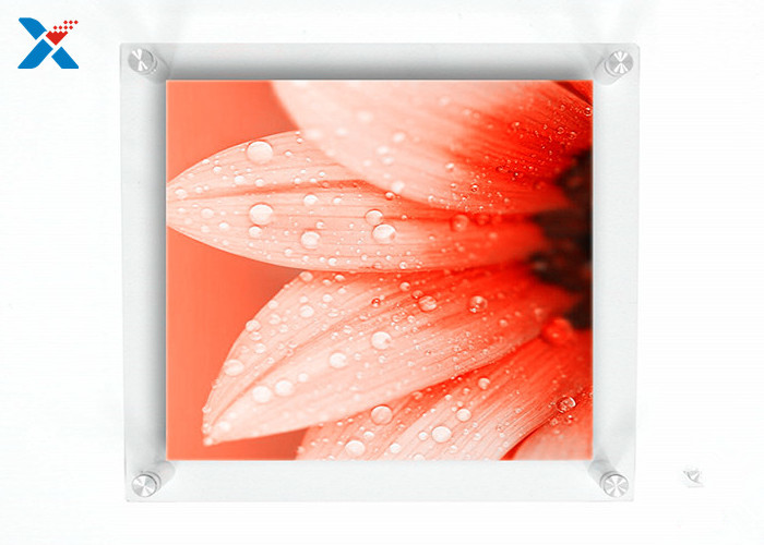 Buy cheap Wall Mounted Acrylic Photo Frames / Double Panel Clear Acrylic Floating Frame product