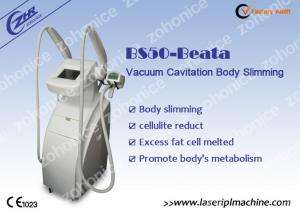 Buy cheap Vacuum Cryolipolysis Slimming beauty Machine Equipment , Pain Free BS50+Beata from wholesalers