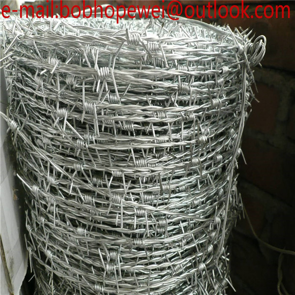 Buy cheap Galvanized safety barbed wire/galvanized decorative barbed wire fencing/barbed wire/low price barbed wire roll fence product