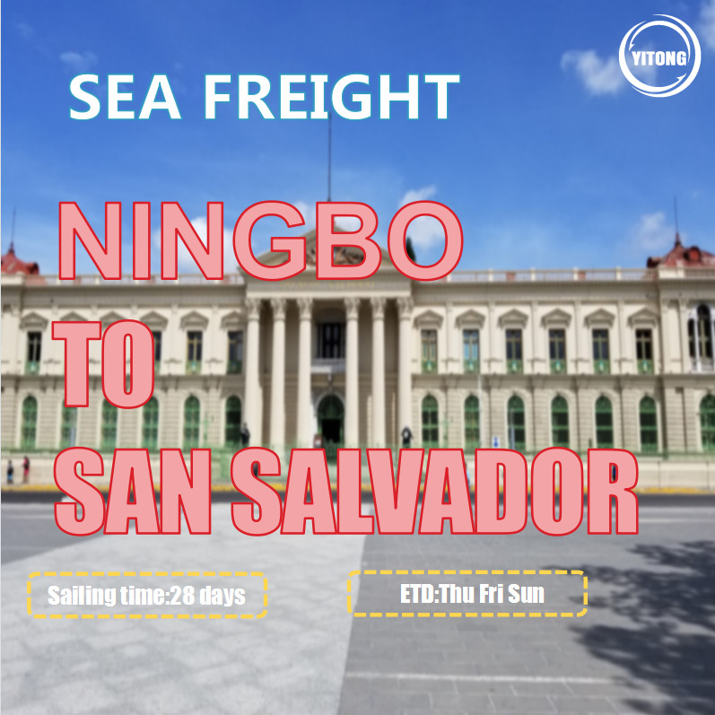 Professional International Sea Freight From Ningbo To San Salvador Via ACAJUTLA