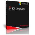 Microsoft SQL Server 2019 Standard Retail Box for sale