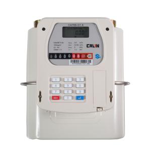 Buy cheap STS Prepaid Gas Meter from wholesalers