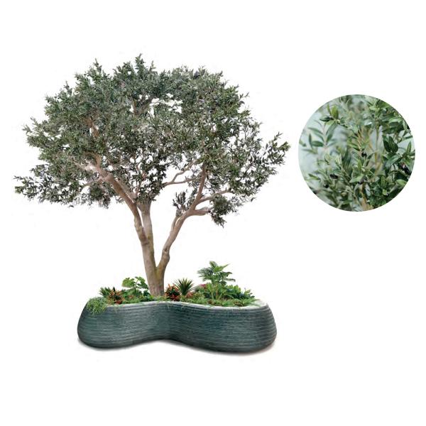 Factory Price Large Artificial Olive Tree, a Large Ornamental Fiberglass Tree for Indoor Restaurants and Shopping Malls