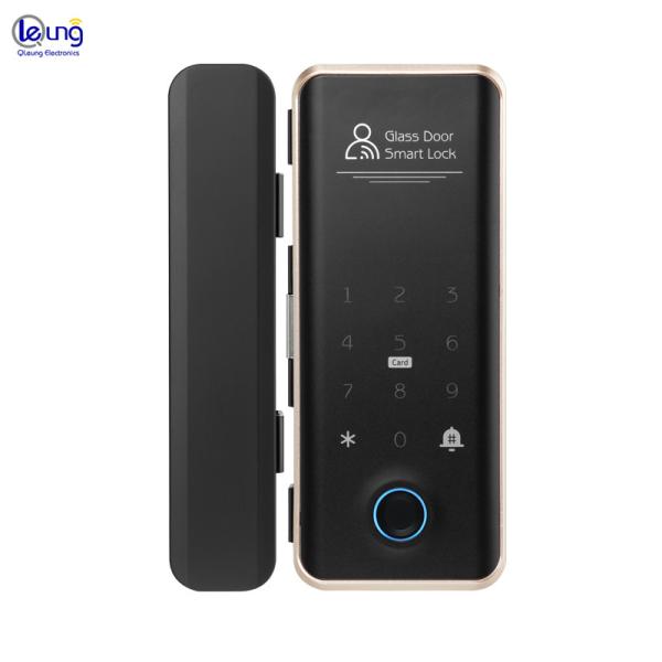 Villa Face Id Smart Lock ROHS Automatic Door Lock For Apartment