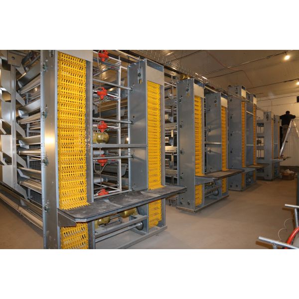 Professional Facilities for Large-scale Breeding Modern Chicken Houses