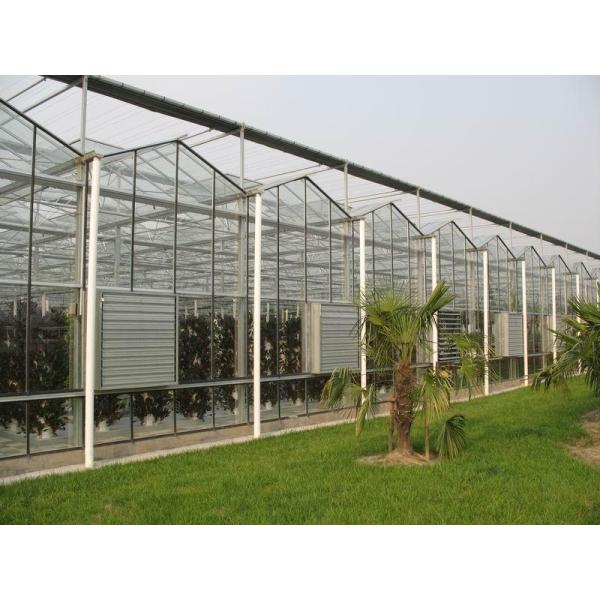 Large Size Generator Plastic Sheet Greenhouse With Project Commercial Hydroponic Systems