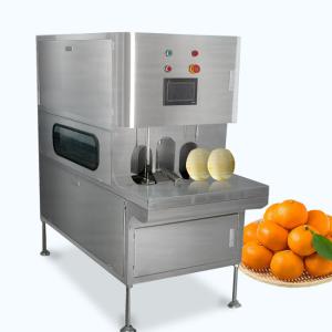 Buy cheap Customized Fruit And Vegetable Processing Equipment With Touch Screen product