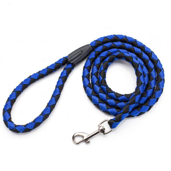 best dog leads for puppies
