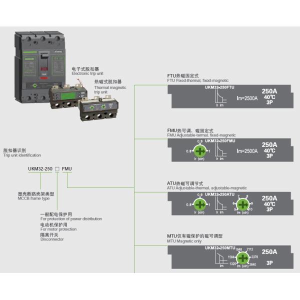 Compact Electronic Trip Molded Case Circuit Breaker 250A , High breaking capacity
