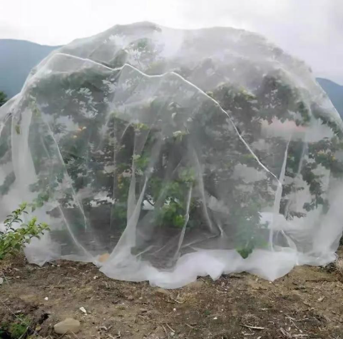 Greenhouse Garden Netting For Agriculture Accessories