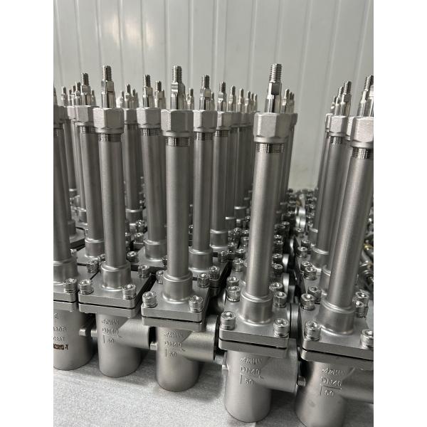 SS304 Cryogenic Long Stem Angle Globe Valve For LNG/LCO2/LN2
