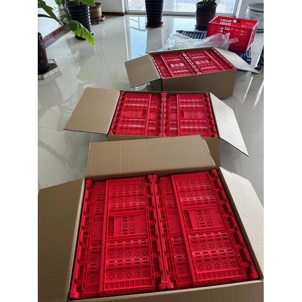 Stackable Tomato Crates Mesh Fruit Packaging for Agriculture Storage PE/PP Material