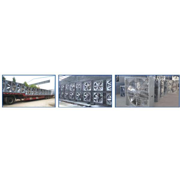 Surulia Series Push Pull Fan Safe Automatic Poultry House Ventilation System For Broilers / Hens