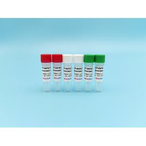 Buy cheap PCR High-Fidelity DNA Polymerase product