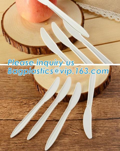 Disposable Plastic Blister Food Tray,Wholesale customized black disposable plastic fast food tray,plastic tray, bagease