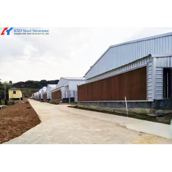 Hot-dip Galvanized Automatic Broiler Chicken Cage System with Adjustable Vents and Corrosion Resistant Design