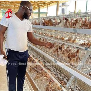 China Automatic Battery Layer Cage , Poultry Farming Cage Nigeria Lagos Sandy on sale