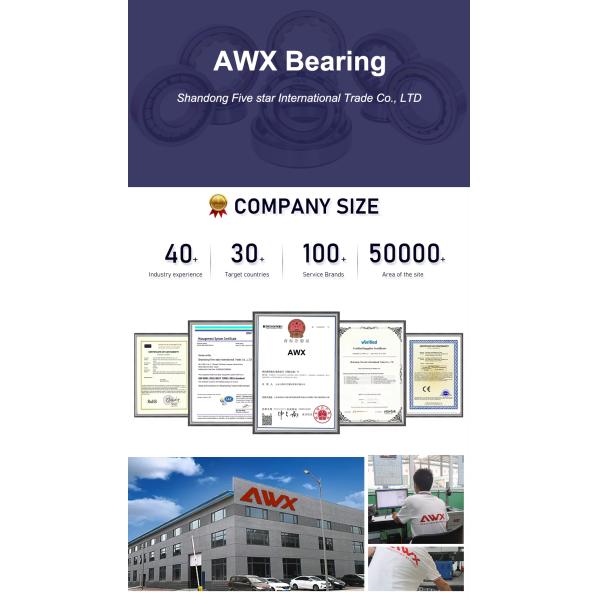 61813 Thin Wall Angular Contact Ball Bearings Zz Low Noise Series Deep Groove Ball Bearing Customized Non-Standard