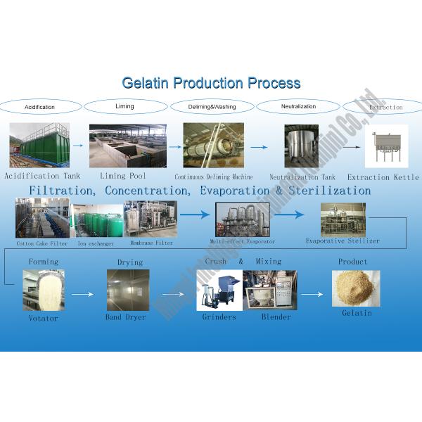Gelatin Making Machine Votator Support For Extruding Gelatin