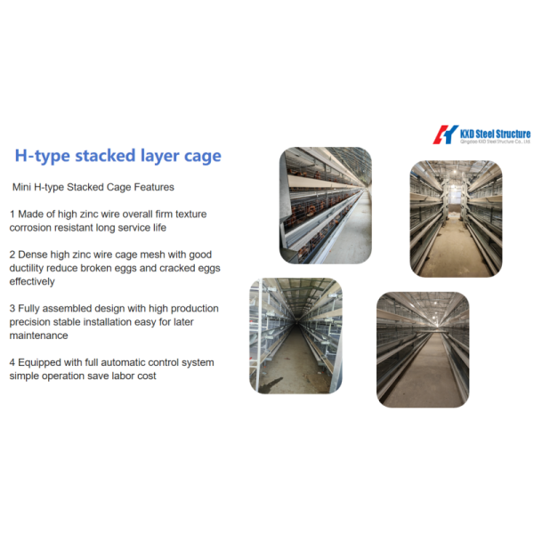 Bestchickencage H-Type Layer Cage with Galvanized Material and Automated Supporting Systems for High-Density Stacking