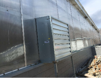 Electrical Control Mushroom Growing Greenhouse With Hot Galvanizing Pipe Structure