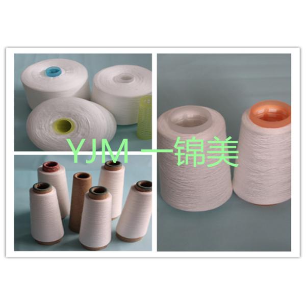 20S /2 Z Twist 100 Polyester Spun Yarn / High Strength Eco Friendly Yarn