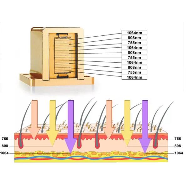TUV CE approval leading cooling technology triple wave 800W diode laser hair removal machine