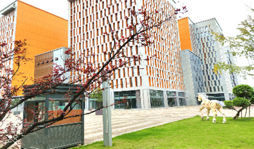 EO Non Bordered Foam Soft Silicone Wound Dressings OEM 20x50cm