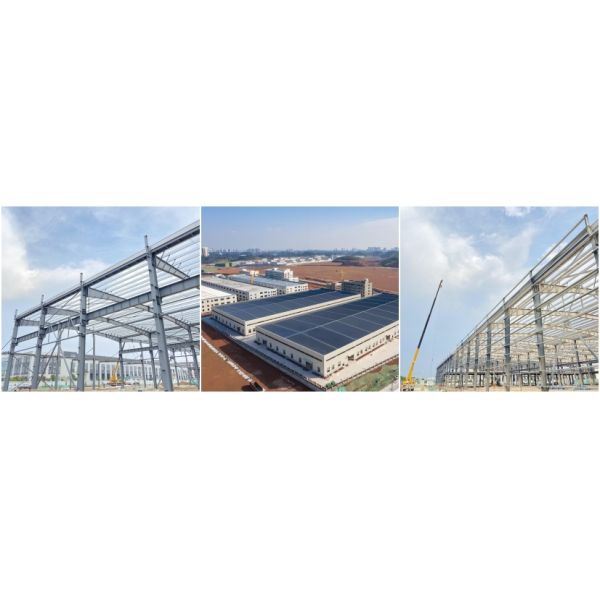 Quick Assembled Industrial Building Steel Structure Fabricated Shed Custom