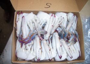 China Portunus Crab Blue Swimming Crab , Half Cutted  Sea Crab Iso Brc Certification on sale