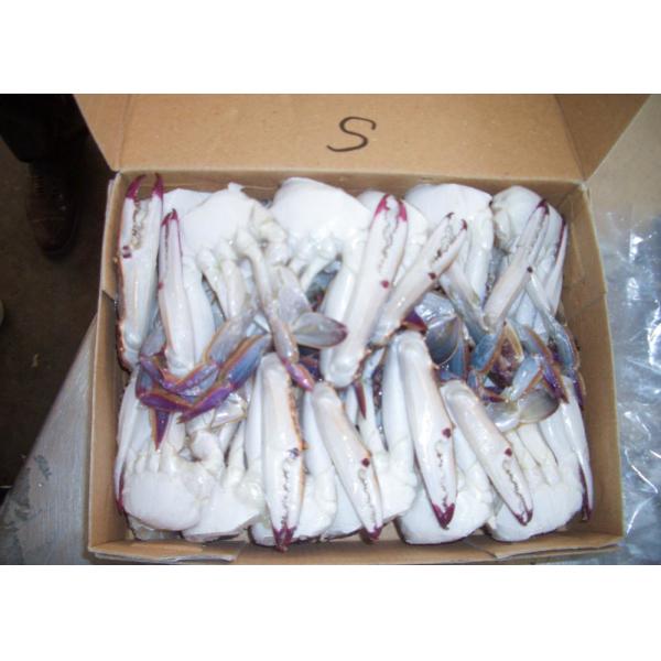 Portunus Crab Blue Swimming Crab , Half Cutted Sea Crab Iso Brc Certification
