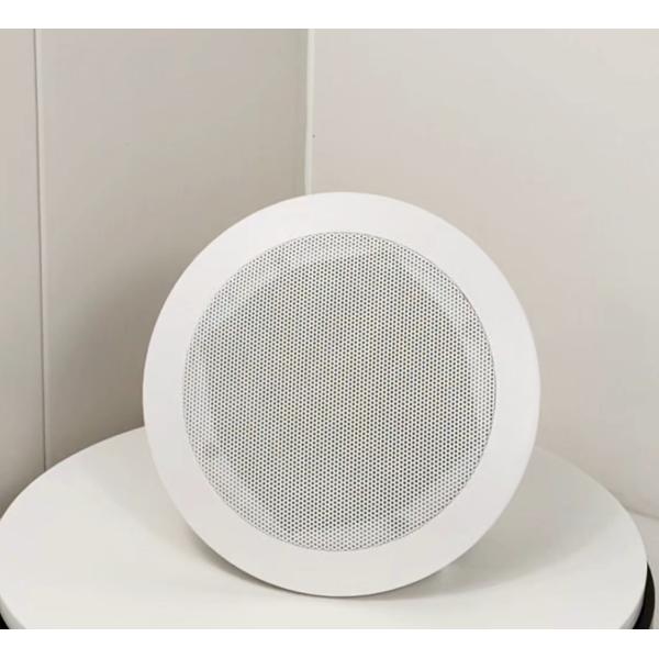 20w 100V Ceiling Mounted Surround Speakers ABS 5 Inch Coaxial Loudspeaker