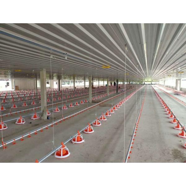 Pan Feeding SS304 3.5m Broiler House Equipment For Chicken