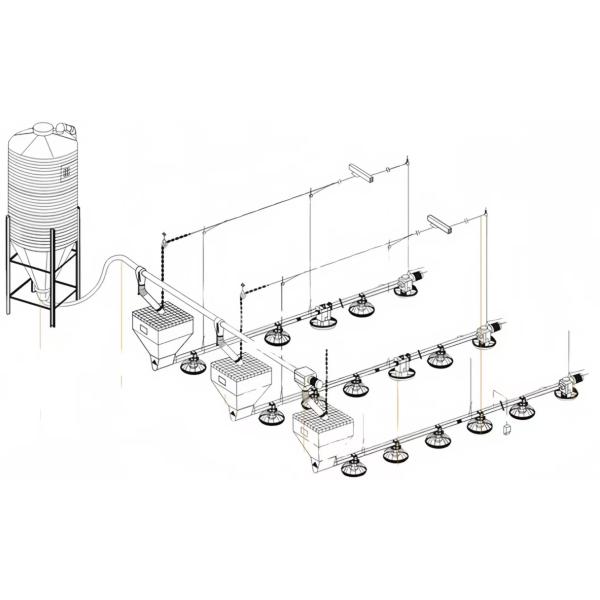 Feed Pan System for Broilers Steel Poultry House Automatic Livestock Equipment