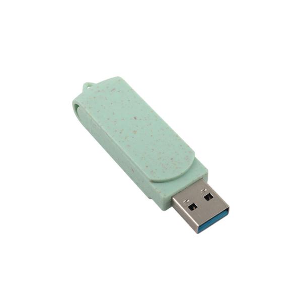 Password Supported Custom Logo Type C USB Flash Drive for Mass Storage and Data Upload