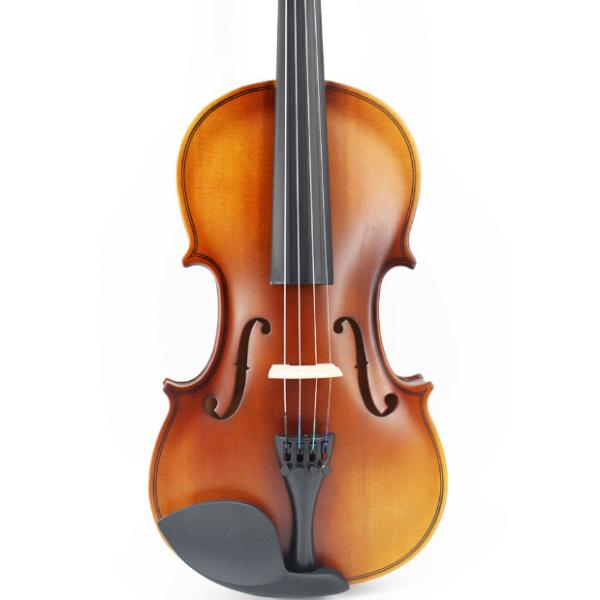 Violin china play Beethoven Violin Sonata No.5 Universal Violin Accessories Professional Use Classical Box For Violin