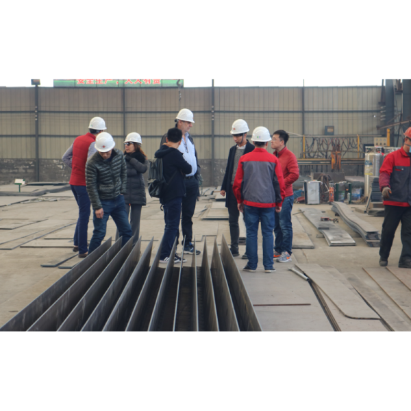 Standardized Modular Steel Structure Workshop & Warehouse - Large Span, Corrosion Resistant, 50-Year Durability