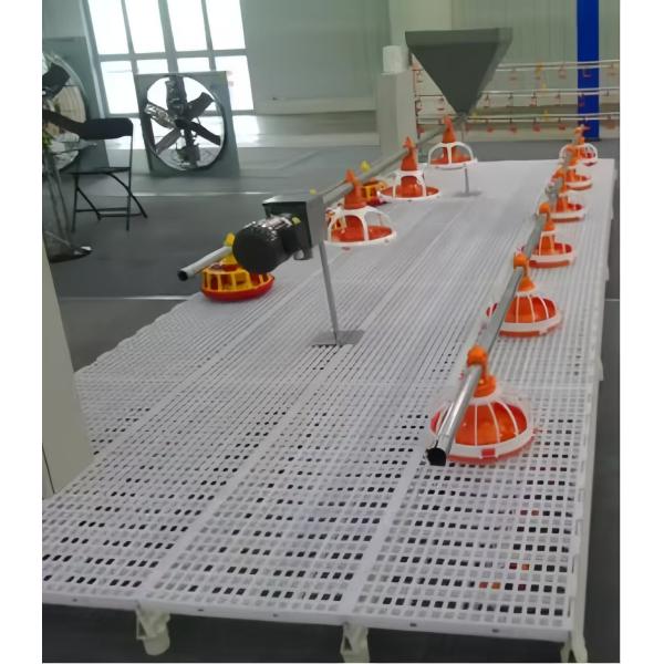 Anti Rust Broiler Pan Feeding System Automatic Plastic Slat Floor For Poultry