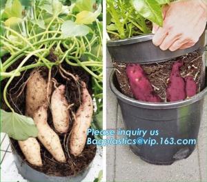 China Tomato Potato Carrot Onion Peanut Growing Pot Garden Planter Pot,PP potato grow pot planting bag, bagplastics, bagease on sale