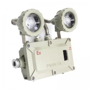 China Outdoor Explosion Proof Emergency Lights IP66 36 Vac 2*5W Emergency Lamps Rechargable Led on sale