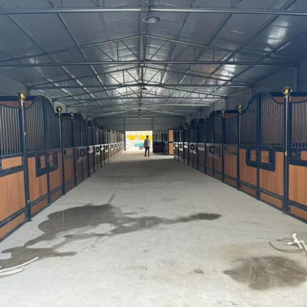 Custom color options for horse stable