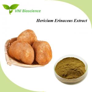 China Mushroom Hericium Erinaceus Extract Powder For Helping Digestion on sale