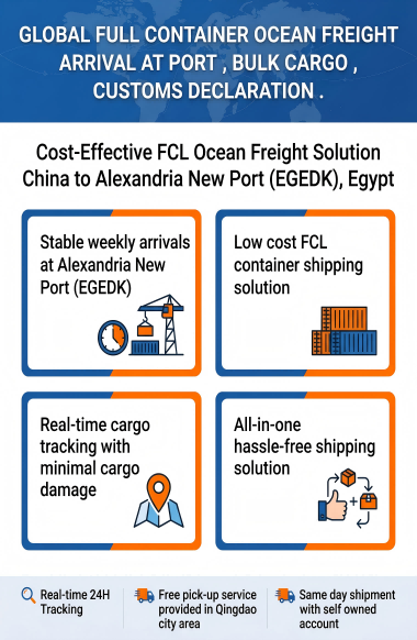 Cost-Effective FCL Ocean Freight with 24/7 Multilingual Support and 30-45 Days Timeliness to Alexandria New Port