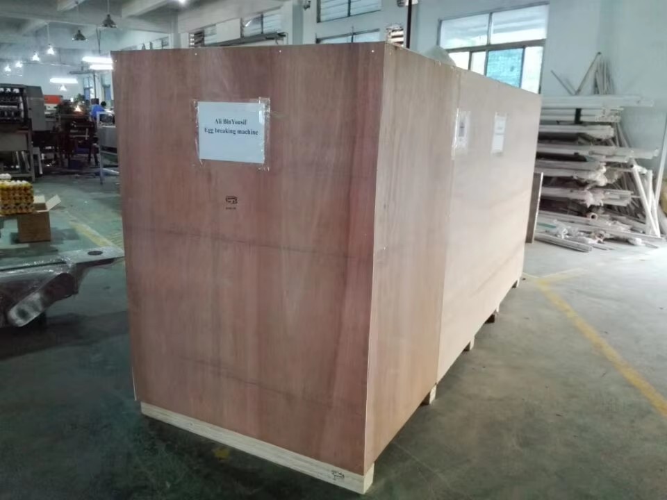 Sanitizer Sprayer Egg Washing Drying Machine With 3000 Eggs/Hour Capacity
