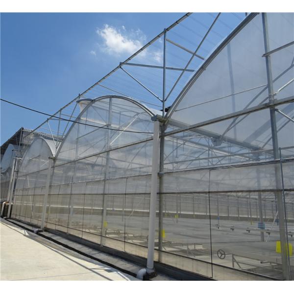 Plastic Multi Span Greenhouse Saw Tooth Roof Ventilation
