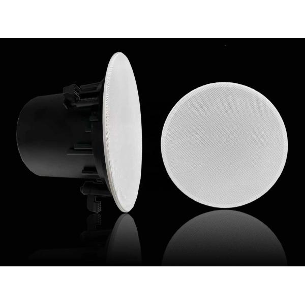 40W 100V 8-inch Commercial Audio Coaxial Speaker Public Address System Iron OEM ODM Customization