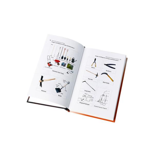 Eco Friendly CMYK Color Cardboard Hardcover Book Printing For Children In Bulk