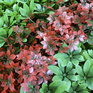 Artificial Uv Resistant Fire Resistant Plant Wall Panel For House Decoration